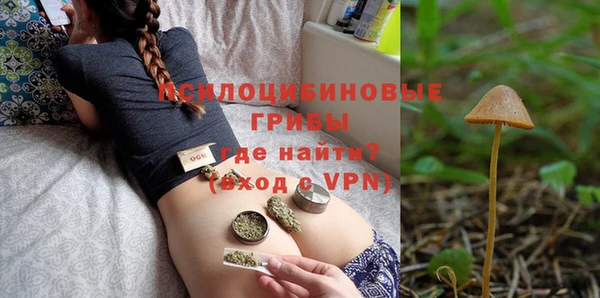 молекула духа Балахна